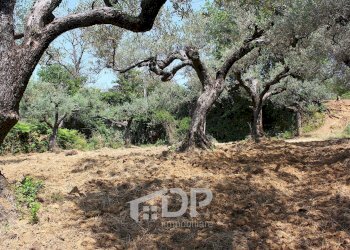 Foto 19 - Terreno agricolo Strada della Fornace
 
snc, Palombara Sabina - foto 19