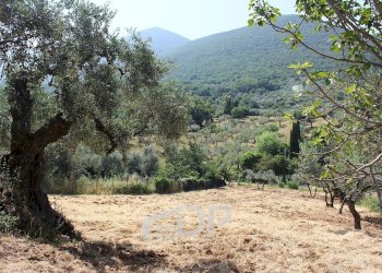 Foto 22 - Terreno agricolo Strada della Fornace
 
snc, Palombara Sabina - foto 22