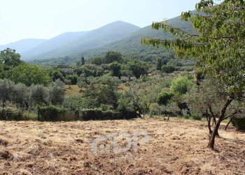 Foto 24 - Terreno agricolo Strada della Fornace
 
snc, Palombara Sabina - foto 24