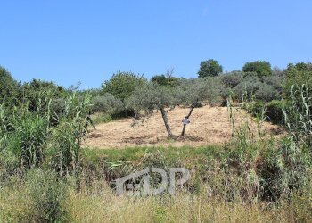 Foto 25 - Terreno agricolo Strada della Fornace
 
snc, Palombara Sabina - foto 25