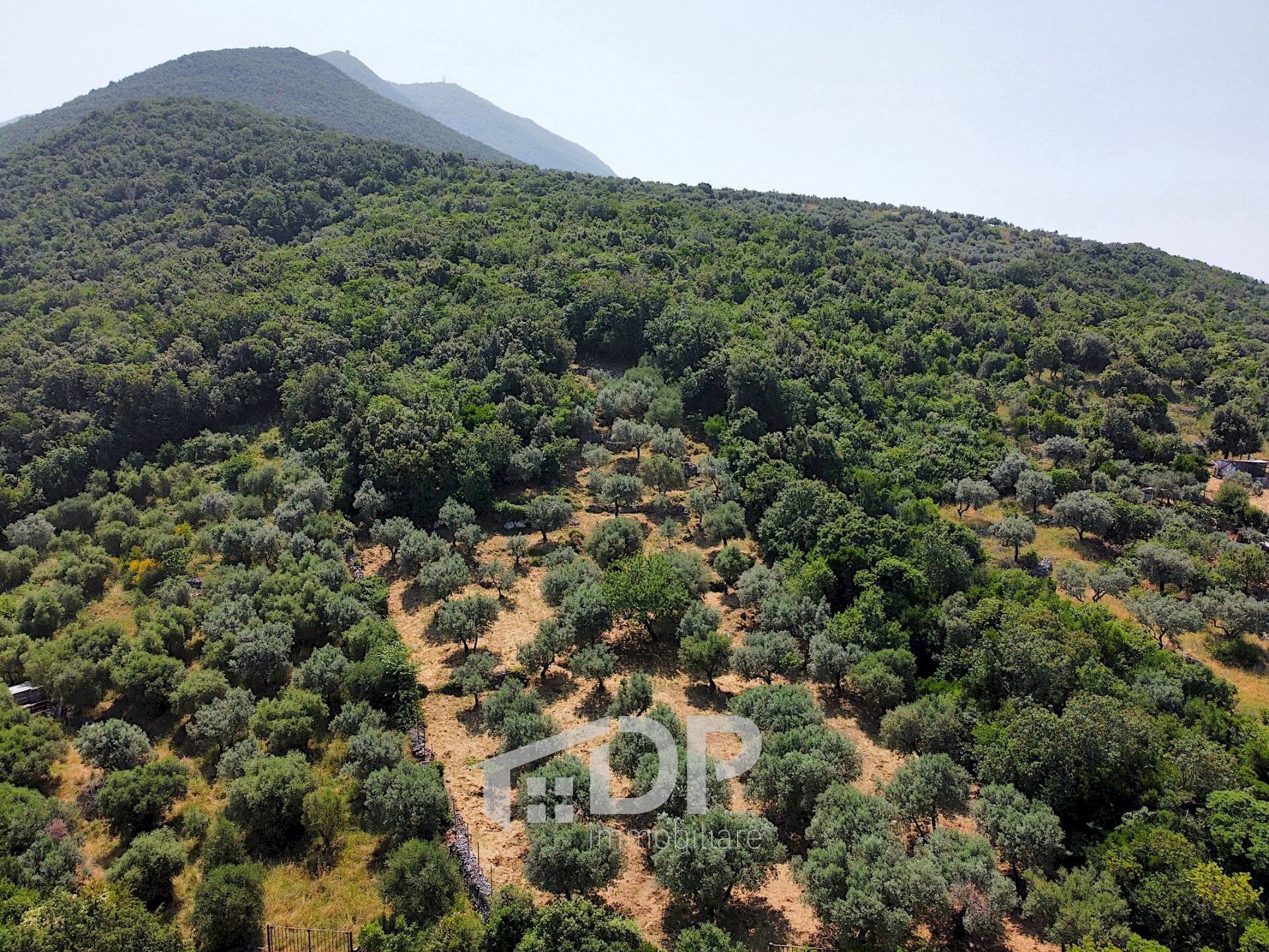 Foto 2 - Terreno agricolo Strada di San Michele
 
snc, Palombara Sabina - foto 2