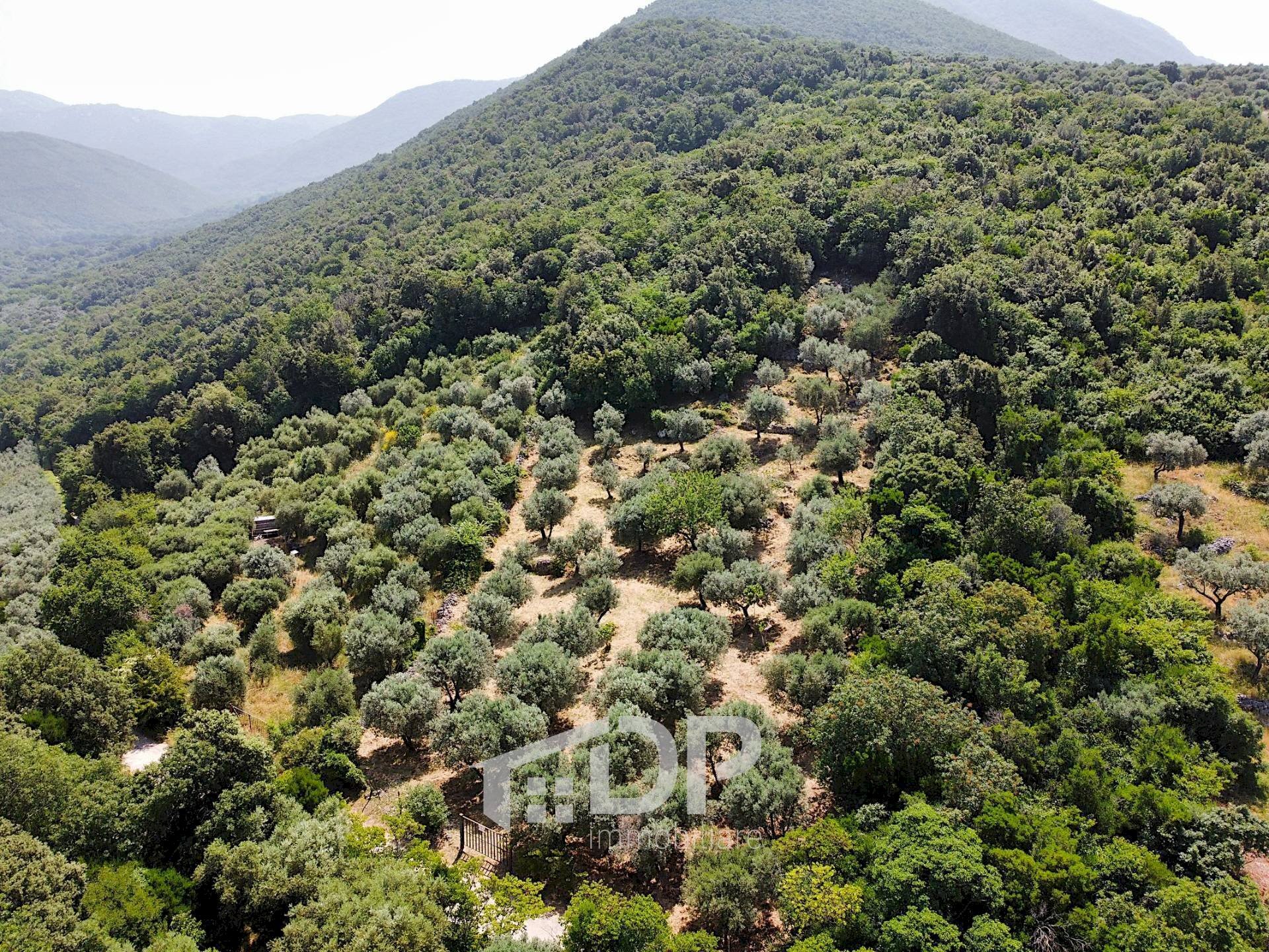 Foto 3 - Terreno agricolo Strada di San Michele
 
snc, Palombara Sabina - foto 3