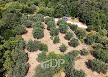 Foto 7 - Terreno agricolo Strada di San Michele
 
snc, Palombara Sabina - foto 7