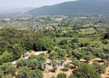 Foto 8 - Terreno agricolo Strada di San Michele
 
snc, Palombara Sabina - foto 8