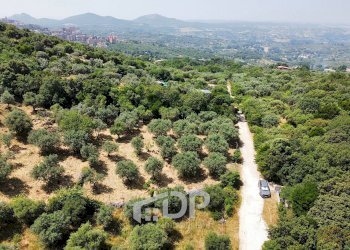 Foto 9 - Terreno agricolo Strada di San Michele
 
snc, Palombara Sabina - foto 9