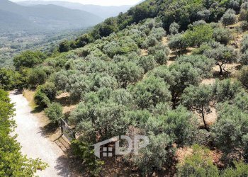 Foto 10 - Terreno agricolo Strada di San Michele
 
snc, Palombara Sabina - foto 10