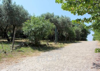 Foto 13 - Terreno agricolo Strada di San Michele
 
snc, Palombara Sabina - foto 13