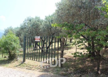 Foto 14 - Terreno agricolo Strada di San Michele
 
snc, Palombara Sabina - foto 14