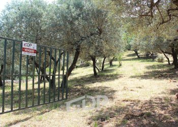 Foto 15 - Terreno agricolo Strada di San Michele
 
snc, Palombara Sabina - foto 15