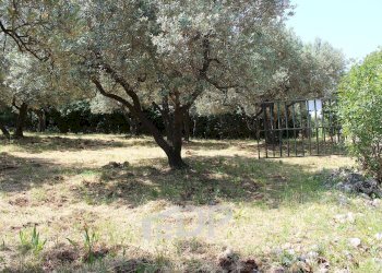 Foto 16 - Terreno agricolo Strada di San Michele
 
snc, Palombara Sabina - foto 16