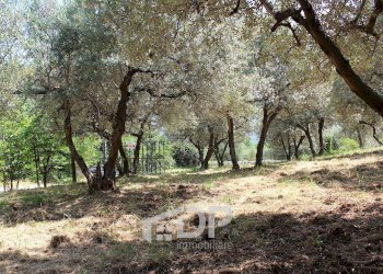 Foto 17 - Terreno agricolo Strada di San Michele
 
snc, Palombara Sabina - foto 17