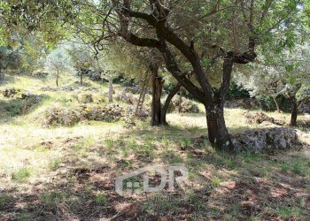 Foto 23 - Terreno agricolo Strada di San Michele
 
snc, Palombara Sabina - foto 23