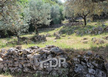 Foto 24 - Terreno agricolo Strada di San Michele
 
snc, Palombara Sabina - foto 24