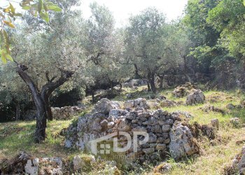 Foto 25 - Terreno agricolo Strada di San Michele
 
snc, Palombara Sabina - foto 25