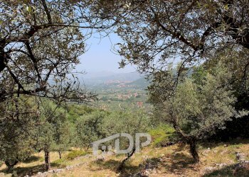 Foto 26 - Terreno agricolo Strada di San Michele
 
snc, Palombara Sabina - foto 26