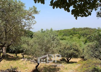 Foto 27 - Terreno agricolo Strada di San Michele
 
snc, Palombara Sabina - foto 27