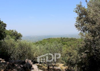 Foto 28 - Terreno agricolo Strada di San Michele
 
snc, Palombara Sabina - foto 28