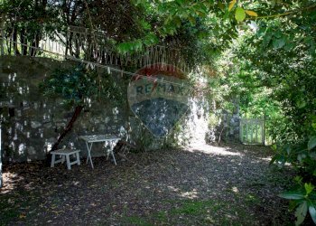 Giardino - Villa Gallicano - foto 83