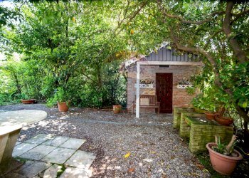 Giardino - Villa Gallicano - foto 89