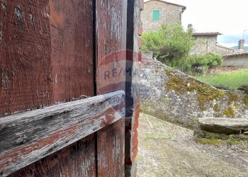 Giardino - Casa indipendente Bagni di Lucca - foto 41