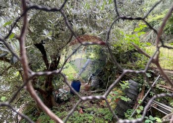 Giardino - Casa indipendente Bagni di Lucca - foto 44