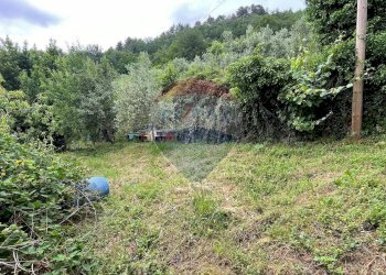 Giardino - Casa indipendente Bagni di Lucca - foto 45