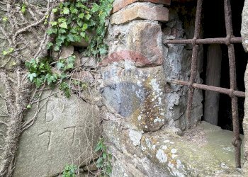 Giardino - Casa indipendente Bagni di Lucca - foto 47