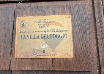 Dettagli - Rustico Camporgiano - foto 16