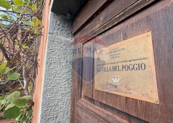 Dettagli - Rustico Camporgiano - foto 17