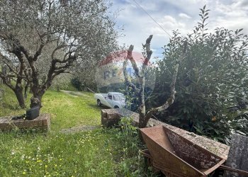 Giardino - Rustico Camporgiano - foto 18