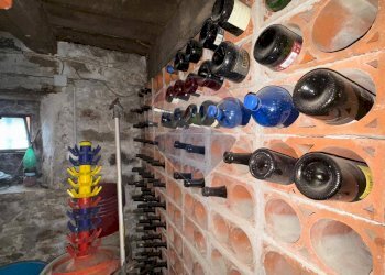 Cantina - Rustico Camporgiano - foto 25