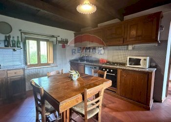 Cucina - Rustico Camporgiano - foto 45