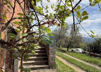 Giardino - Rustico Camporgiano - foto 67