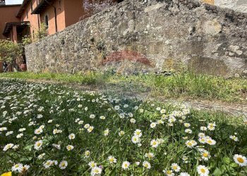 Giardino - Rustico Camporgiano - foto 76