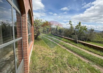 Giardino - Rustico Camporgiano - foto 104