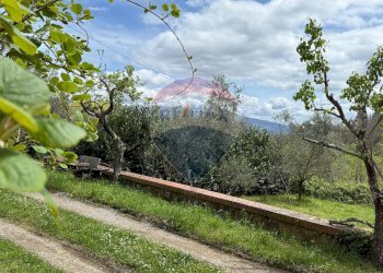 Giardino - Rustico Camporgiano - foto 110