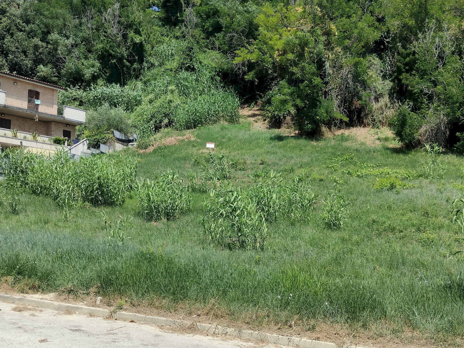 Foto 2 - Terreno edificabile Via delle Paranze, Acquaviva Picena - foto 2