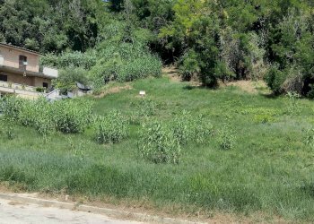 Foto 2 - Terreno edificabile Via delle Paranze, Acquaviva Picena - foto 2