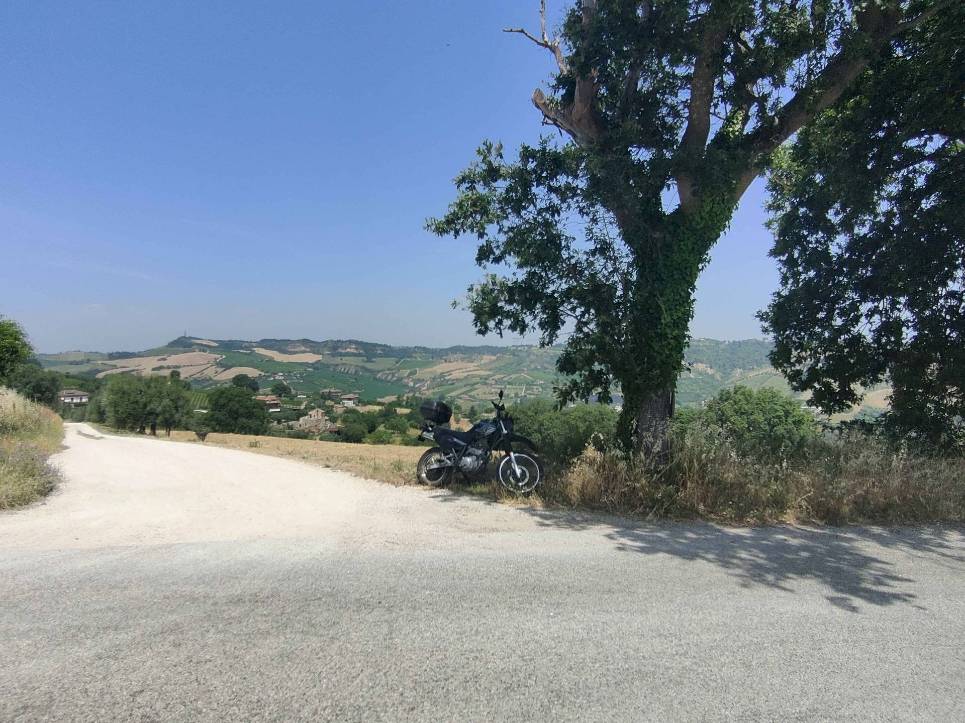 Foto 1 - Terreno agricolo Contrada Paterno, Acquaviva Picena - foto 1