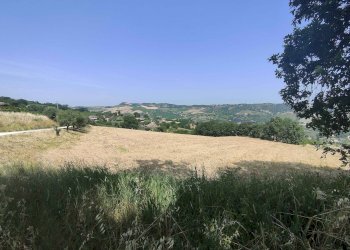 Foto 4 - Terreno agricolo Contrada Paterno, Acquaviva Picena - foto 4