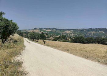 Foto 5 - Terreno agricolo Contrada Paterno, Acquaviva Picena - foto 5