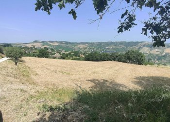 Foto 6 - Terreno agricolo Contrada Paterno, Acquaviva Picena - foto 6