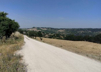 Foto 7 - Terreno agricolo Contrada Paterno, Acquaviva Picena - foto 7