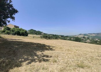 Foto 8 - Terreno agricolo Contrada Paterno, Acquaviva Picena - foto 8