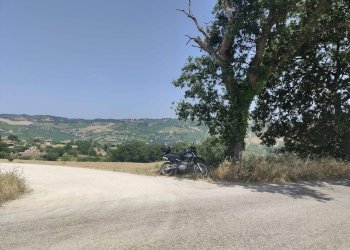 Foto 9 - Terreno agricolo Contrada Paterno, Acquaviva Picena - foto 9