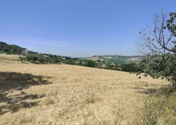 Foto 10 - Terreno agricolo Contrada Paterno, Acquaviva Picena - foto 10