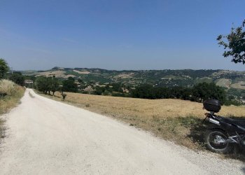 Foto 11 - Terreno agricolo Contrada Paterno, Acquaviva Picena - foto 11