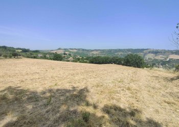 Foto 12 - Terreno agricolo Contrada Paterno, Acquaviva Picena - foto 12