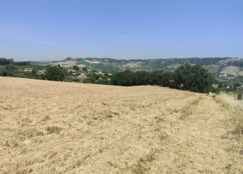 Foto 13 - Terreno agricolo Contrada Paterno, Acquaviva Picena - foto 13