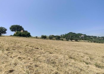 Foto 15 - Terreno agricolo Contrada Paterno, Acquaviva Picena - foto 15